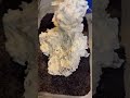No-Bake Oreo Cheesecake | Easy &amp; Creamy Dessert Recipe 😋