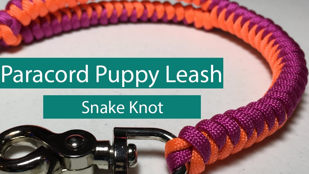 DIY Paracord Puppy Leash - Snake-Knot - Paw-Palz