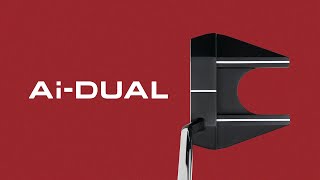 Ai-DUAL USA 250 Freebird Cruiser Putter
