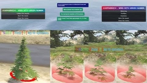 [ ESX ] Fivem Weed Growing Script - Fivem Store | Fivem Mods : FiveM Scripts