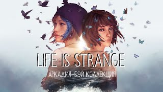 Life is Strange Аркадия-Бэй Коллекция русский трейлер (ElikaStudio)