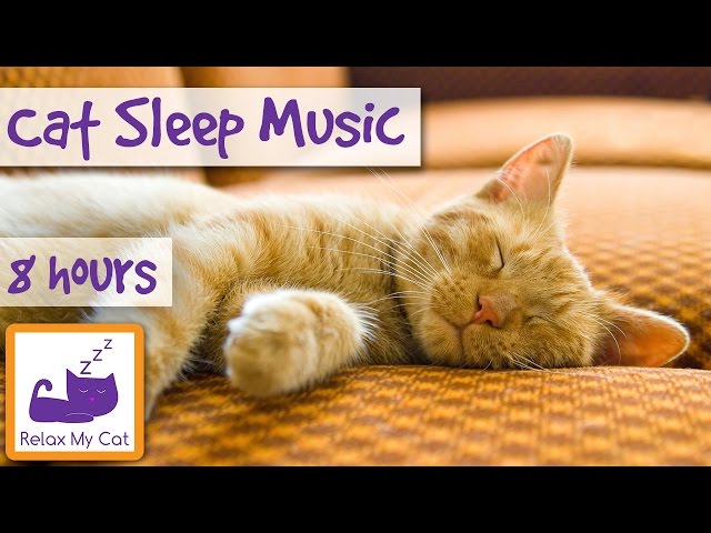 Over 8 Hours of Relaxing Music For Cats! Long Playlist For Cats. Natural Anxiety and Stress Relief class=