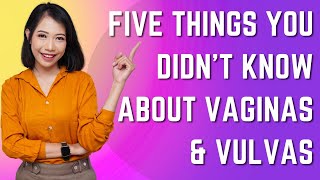 Five Things You didn't Know About Vaginas & Vulvas