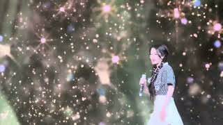 Celebrity IU Celebrity fancam (4K 60fps) 20240719 IU HEREH World Tour Atlanta Wealth
