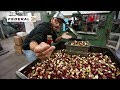 How Shotgun Shells Are MADE!! (BlackCloud, SpeedShok,and More)