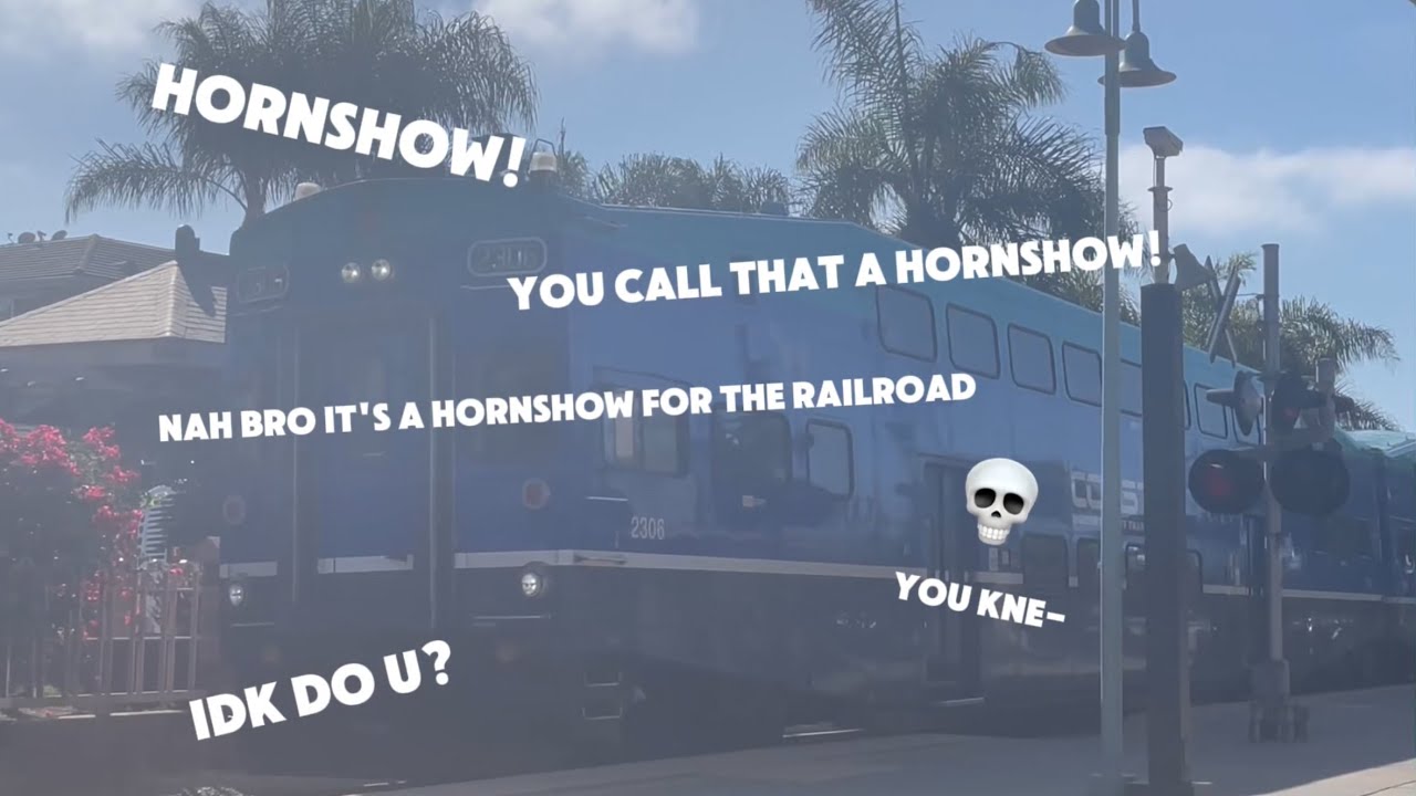 Best of 2024/2025 hornshows