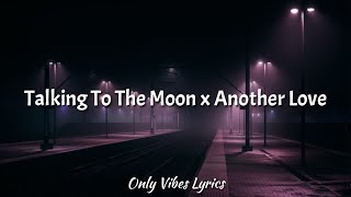 Talking to the moon x Another love (TikTok mashup) DJ Lilli
