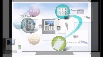 biometric RFID fingerprint time and attendance access control system solutions
