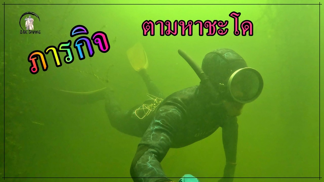 ภารกิจ ตามหาชะโดเอาไปทำส้ม ตามคำขอของ FC