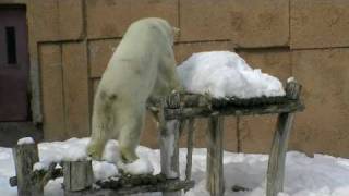 ピリカフェスティバル