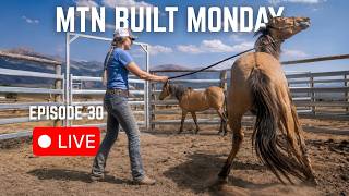 TOP 3 Tips For Adopting & Training Mustangs | Trailer Talk LIVE!