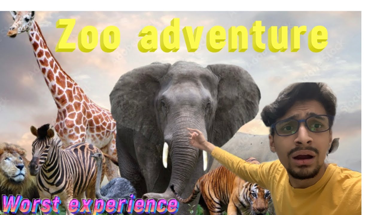 Zoo tactic Adventure Exploring Wildlife Wonders || Safari Spectacular A ...