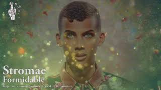 Stromae – Formidable ( with Lyrics / Türkçe Altyazi / Türkçe Çeviri )