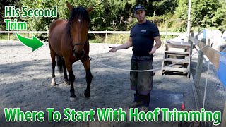 Hoof Trimming 101 The Basics Of Hoof Trimming For Shape And Comfort Ft Mr Wilde