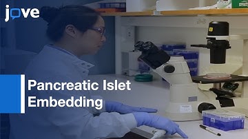 Pancreatic Islet Embedding For Paraffin Sections l Protocol Preview