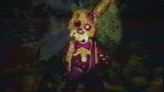 Retrieved - [FNAF/VHS]