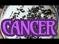 CANCER: YOU STRUCK GOLD! ✨ THIS MIRACLE WILL HAPPEN! ✨  // ASMR tea leaf reading horoscope