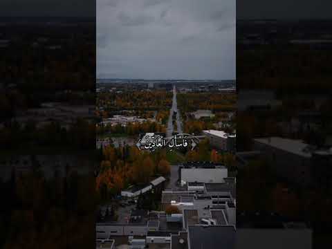 اللهم اجعل القرآن شفيع لي و لوالدي وجدتي