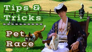 Tips and Tricks Pet Race screenshot 1