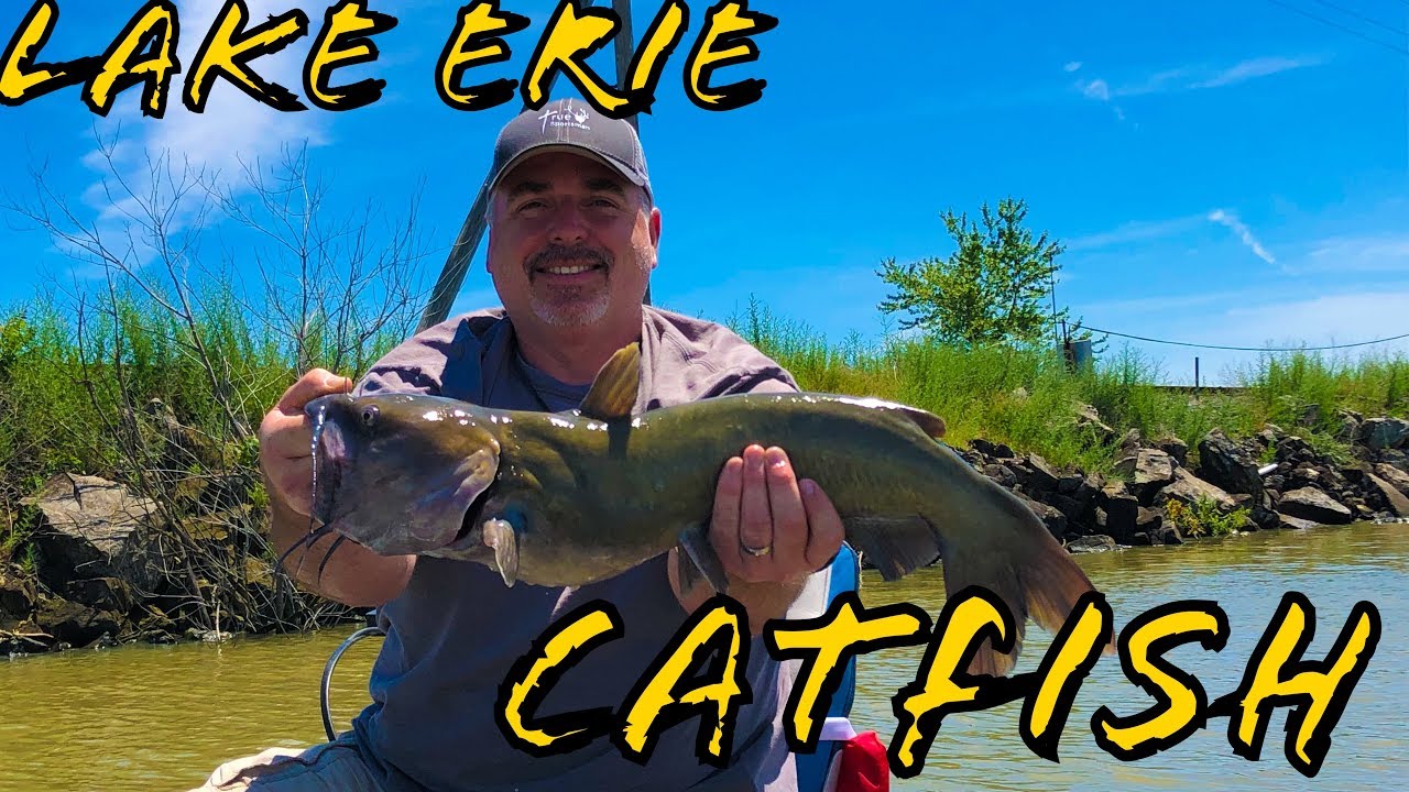 How To Catfish- Lake Erie (Fish Every Cast)