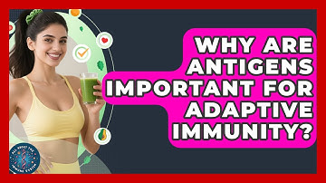 Why Are Antigens Important For Adaptive Immunity? - All About the Immune System