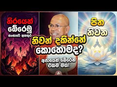 පින නිවනට උපකාර කරගන්නා විදිහ |සසර අනතුරුවලින් සහ නිරයෙන් බේරෙන්න ඔබටත් මේ දේ වැරදුනොත්