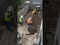 From an empty backyard to a luxury paradise 🤯 #shorts #transformation