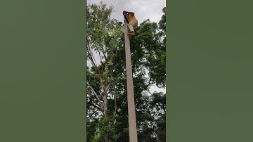 TSSPDCL JLM POLE TEST