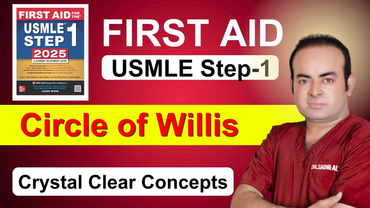 Circle of Willis: Why It Matters for USMLE Step 1 (Stroke & Aneurysm ...