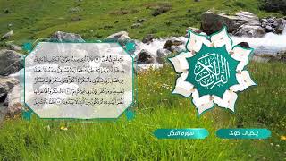 027 سورة النمل ـ يحيى حوى Reciter Yahya Hawwa