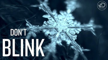 Because it’s Beautiful | Dont