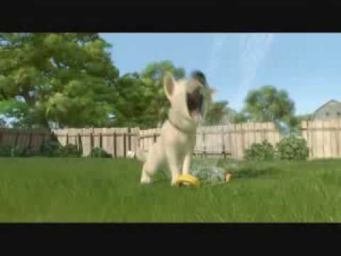 dog movie song