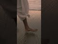 Bambllessa - When Love is in Horizon