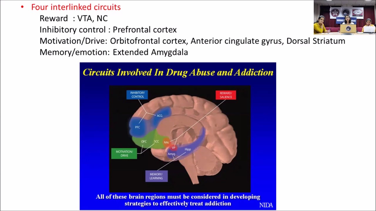 Neurobiology of Nicotine Addiction by Dr. Namrata Jagtap