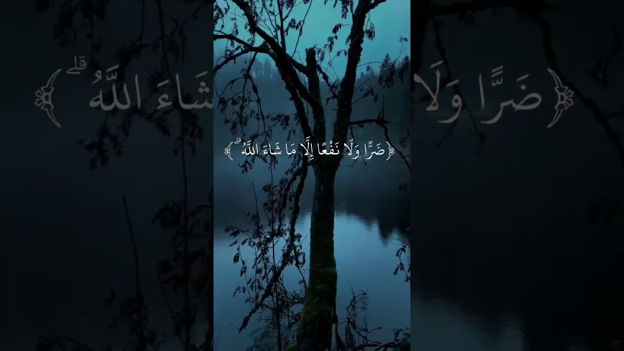 #قرآن#القرآن_الكريم#تلاوة#خشوع#اسلاميات#قرآن_كريم#قراءة_القرآن#تدبر#القرآن#تلاوات#آيات#fyp#foryou