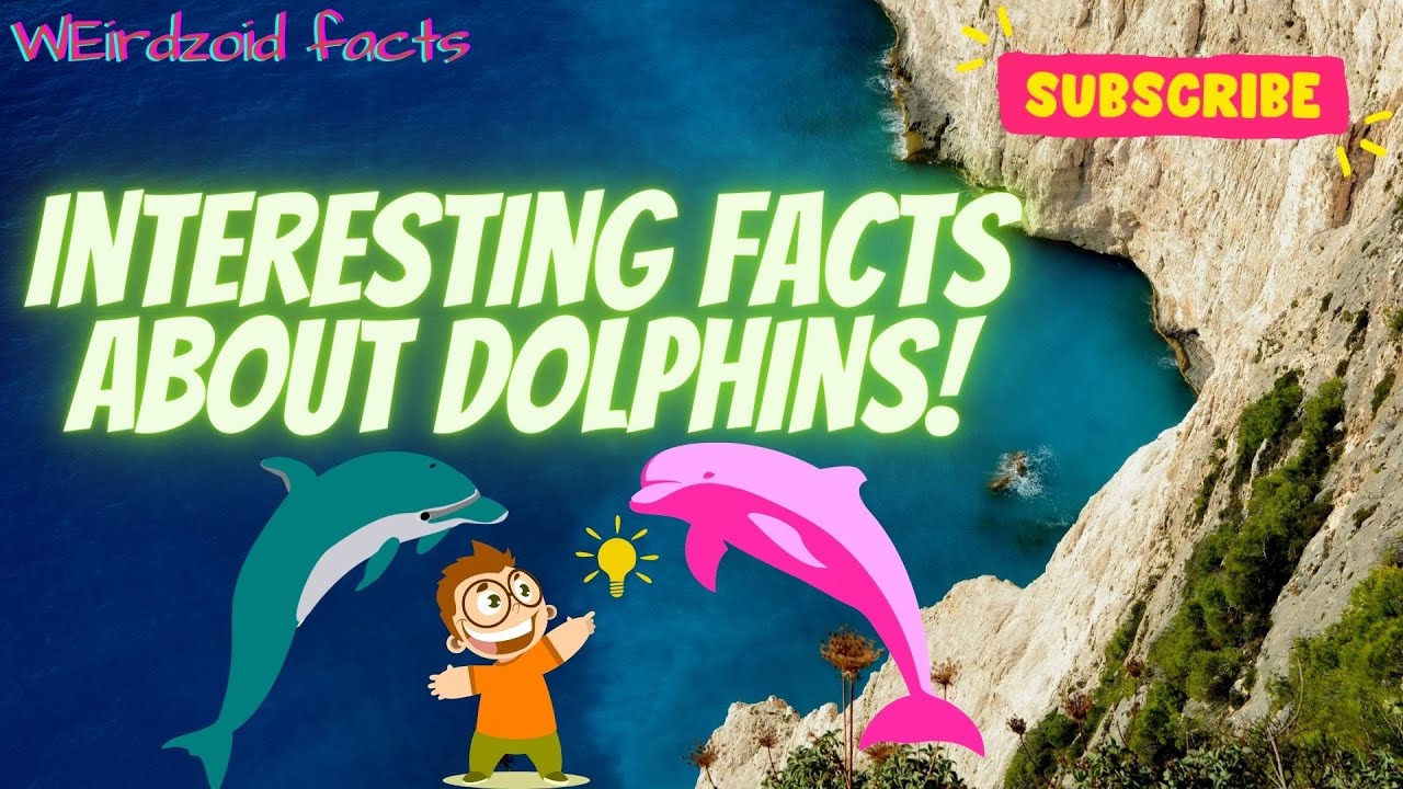 INTERESTING FACTS ABOUT DOLPHINS  | WorldofFacts | Dolphins | IntelligentMammals | Weird 