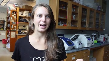 The lab of Hadley Horch: Students research compensatory growth in cricket auditory systems