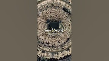 فرحين بما آتاهم الله من فضله #اكسبلور #المنشاوي #قرآن #shortvideo #راحة_نفسية #تلاوة_خاشعة للمنشاوي.