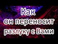 Как он переносит разлуку с Вами?? Будет ли проявляться? Общий расклад ТАРО