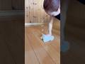ただ日々拭く。