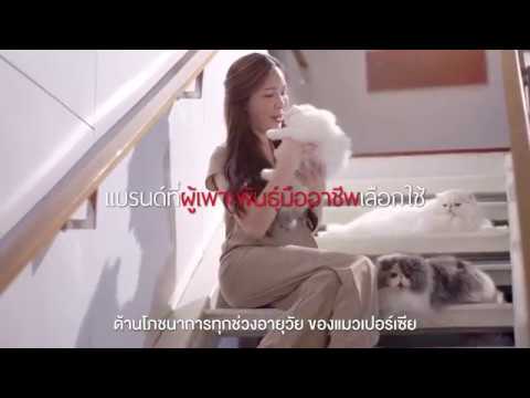 Royal Canin จุดเริ่มต้นที่ดี เพื่อสุขภาพของลูกแมว | สรุปเนื้อหาที่เกี่ยวข้องอาหาร ลูก แมว royal caninที่มีรายละเอียดมากที่สุด