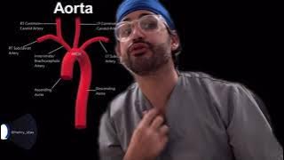 Aortic Arch View