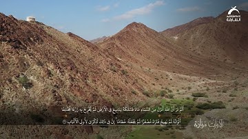 القارئ: خليفة الطنيجي - سورة : الزمر|  تلاوات مؤثرة