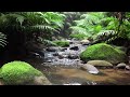Soft River Water Sounds for Gentle Evening Sleep