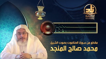 مقطع من سورة العنكبوت، بصوت الشيخ: محمد صالح المنجد
