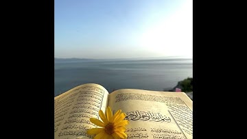 سورة يس كاملة قراءة هادئة و خاشعة مريحةللنفس  🙏
