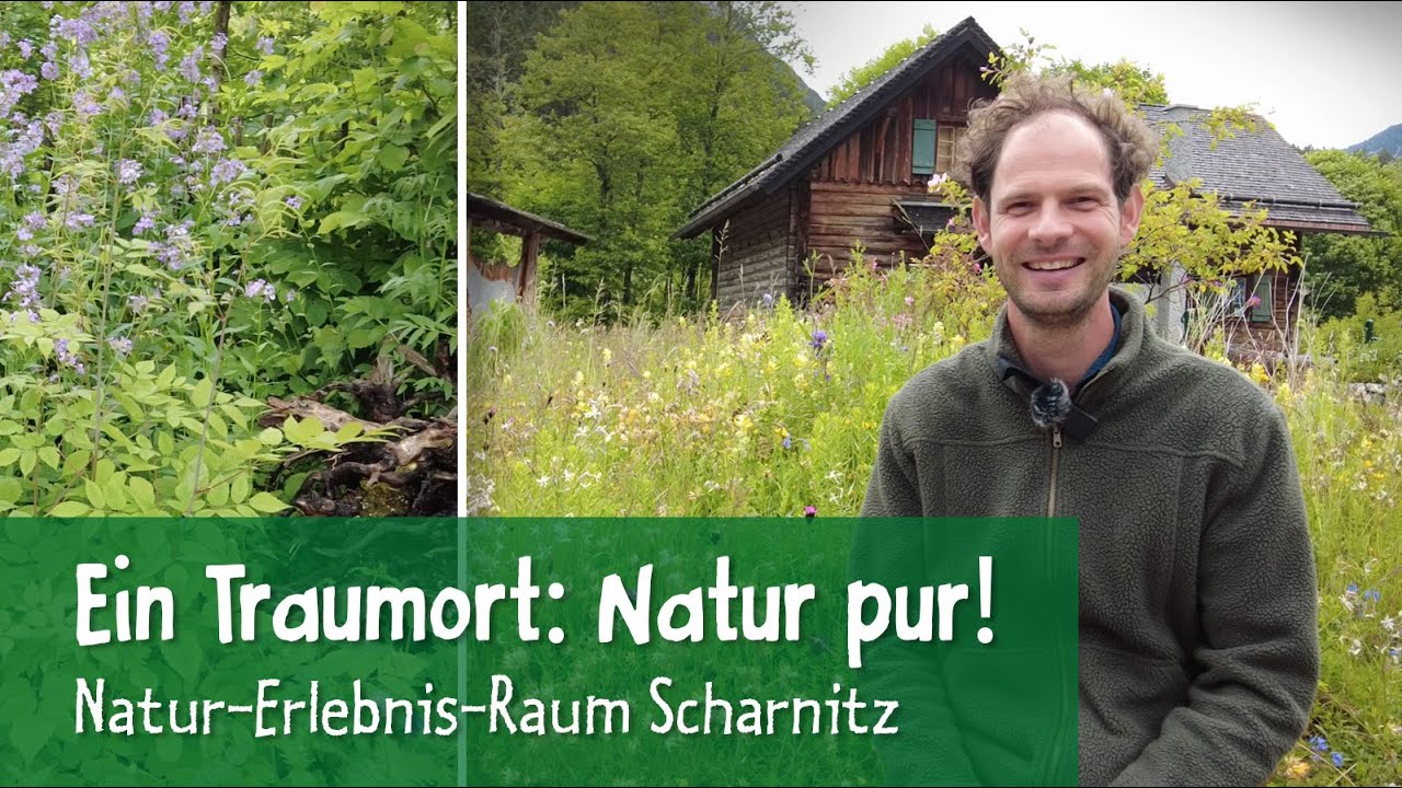 Natur-Erlebnis-Raum Scharnitz