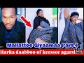 Risqoo Ahmed Muxxee Alaama Qiyaama Kutaa 1ffaa