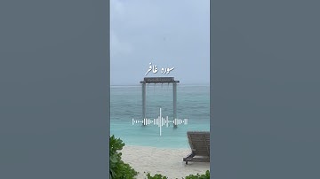 سوره غافر #قران_كريم #اكسبلور #قرآن #قرآن_كريم #حالات_واتس