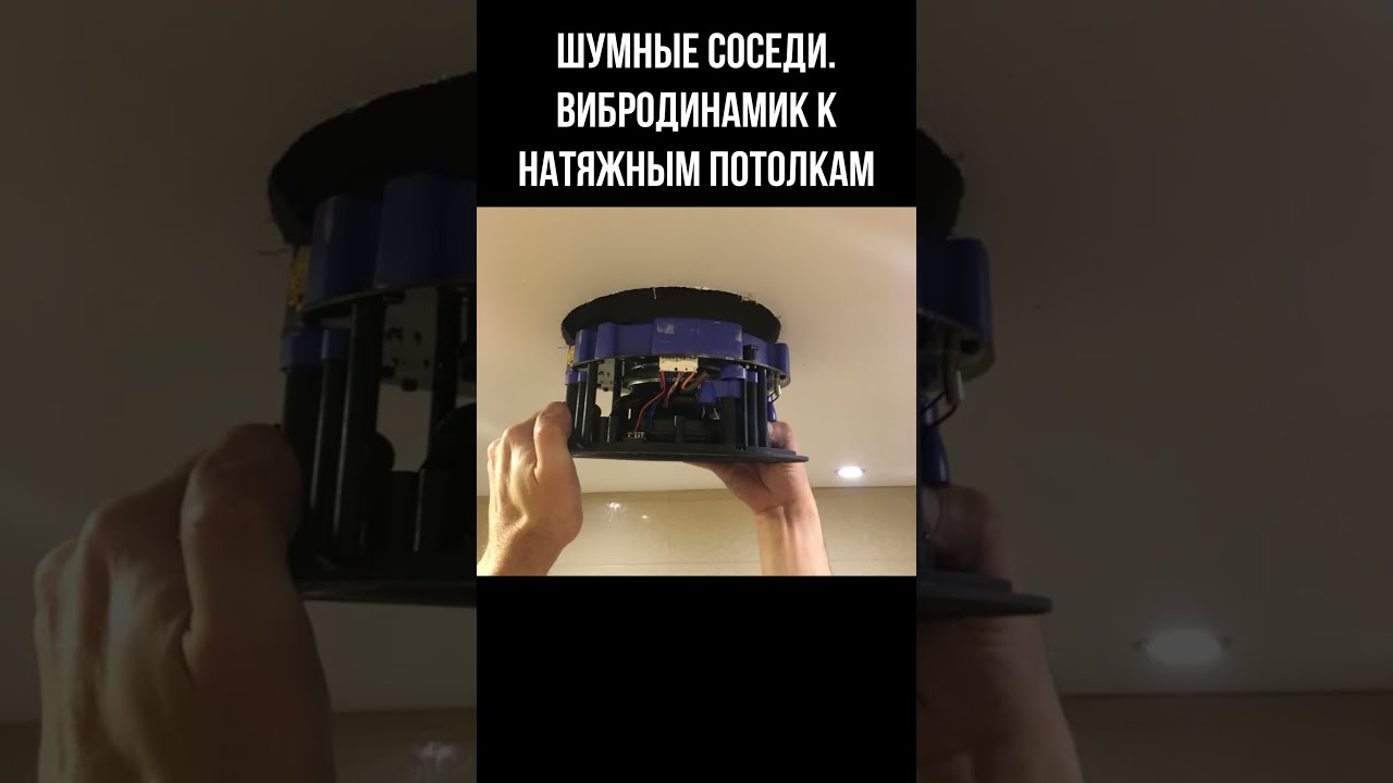 Вибродинамик Купить На Алиэкспресс Для Соседей